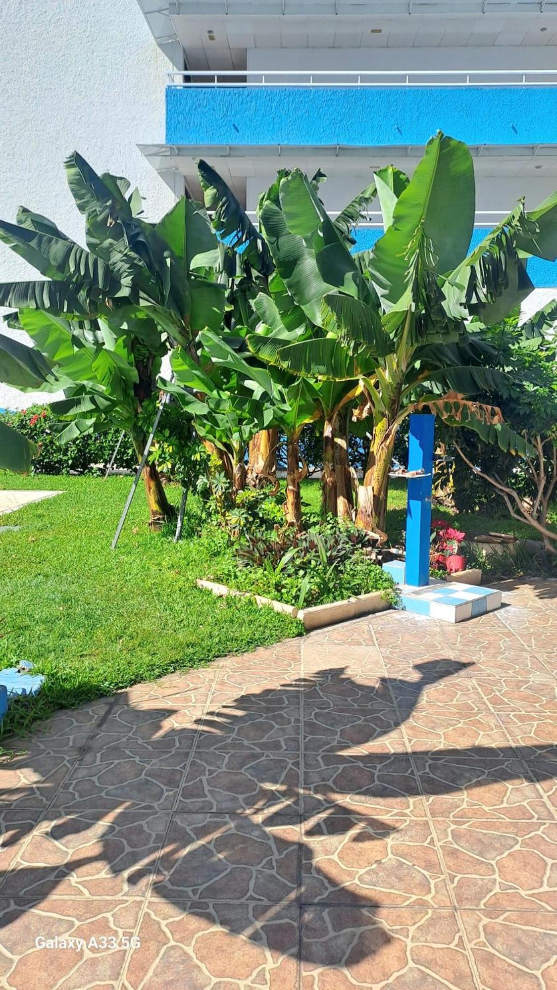 Estudio Playa Jardin Puerto de la Cruz Kültér fotó